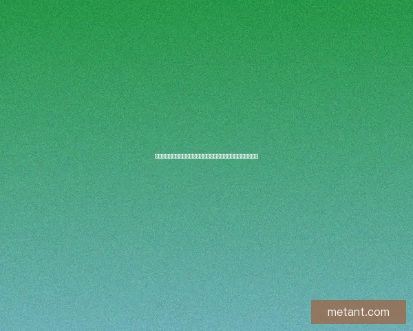 书连：探索文学世界的无尽可能，带你走进知识的海洋与思想的碰撞