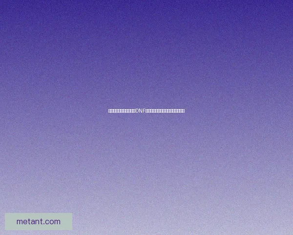 五一礼包重磅上线！探索DNF超值福利与限时活动，畅享精彩奖励