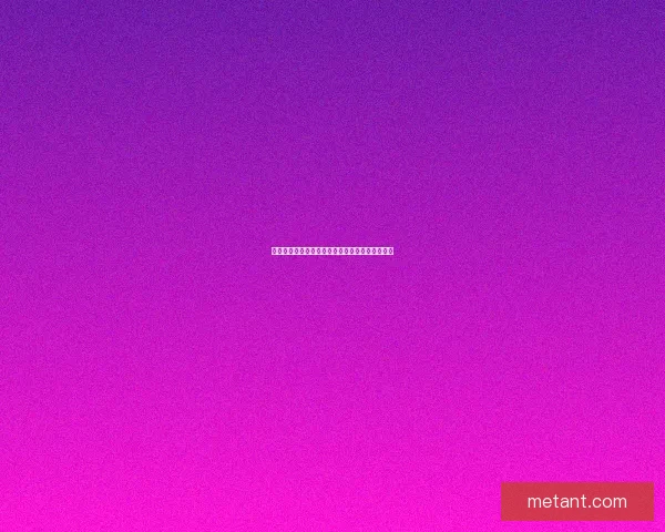 圣巫加点与战斗策略解析提升角色实力的全面指南