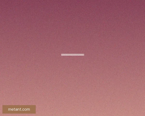 庄周与高山流水的奇遇与心灵共鸣探寻之旅