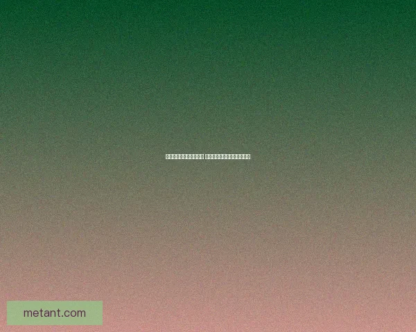 暴走大侠明教玩法全攻略 从新手到高手的成长之路详解