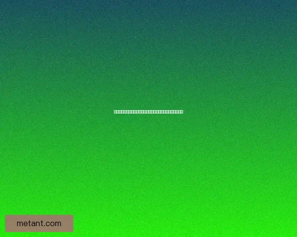 深入分析游戏战略核心与技巧掌握助你成为最终胜者的关键要素