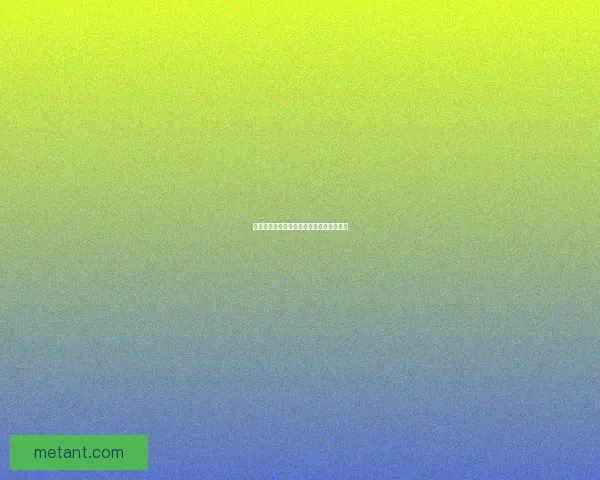 虚空掠夺者全方位攻略技巧及战斗策略详解