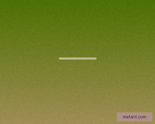 全面解读技能类型扩展券的作用与使用技巧助力玩家提升游戏体验