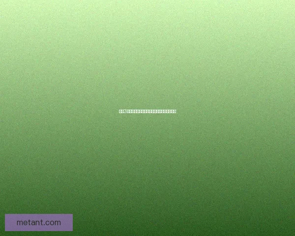 剑网3门派探索：武侠世界中的绝世剑道与心法传承