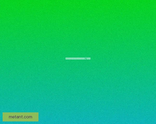 属性点重置为焦点：重塑火炬之光2的旅程