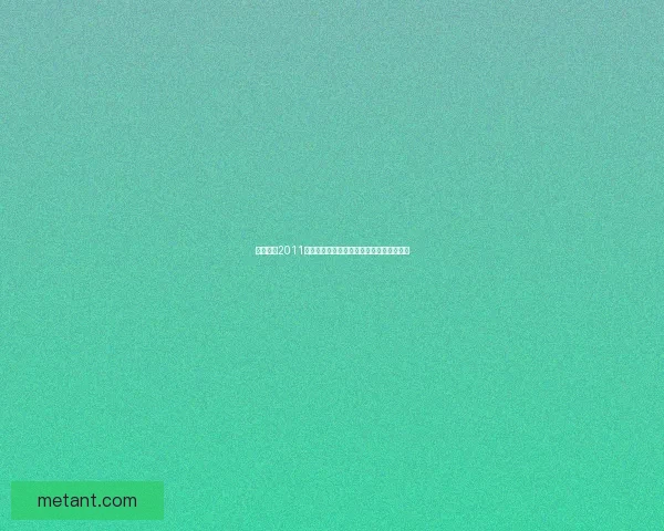 实况足球2011中文解说补丁安装教程与游戏体验优化指南 实况足球2011中文解说补丁安装教程与游戏体验优化指南